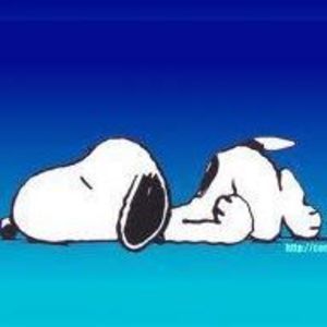 Meet your Posher, Gloria